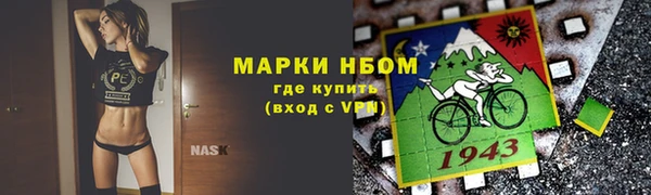 шишки Корсаков