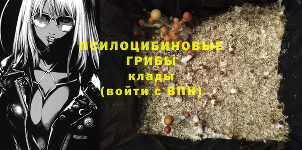 винт Переславль-Залесский
