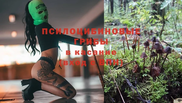 хмурый Коряжма