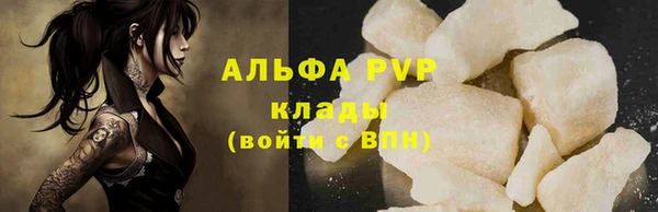 прущие грибы Зерноград