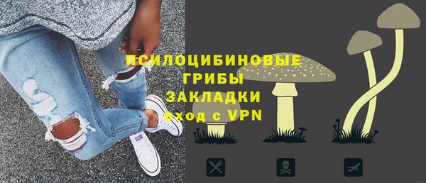 шишки Корсаков