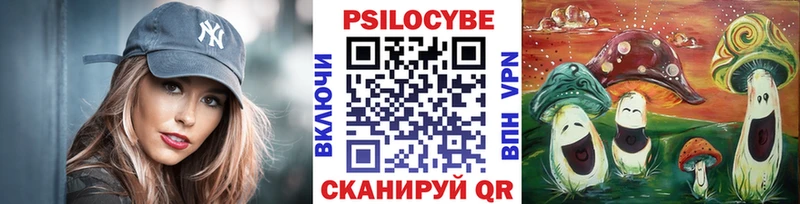 купить наркоту  Далматово  Псилоцибиновые грибы Magic Shrooms 