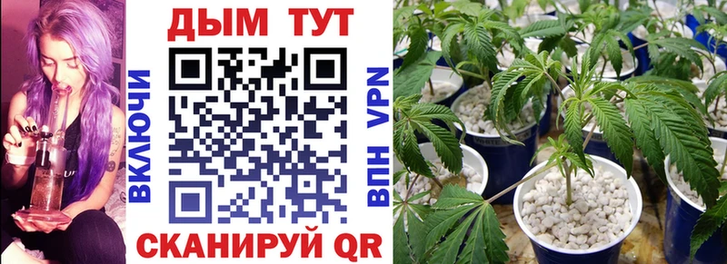 Бошки марихуана гибрид  Далматово 